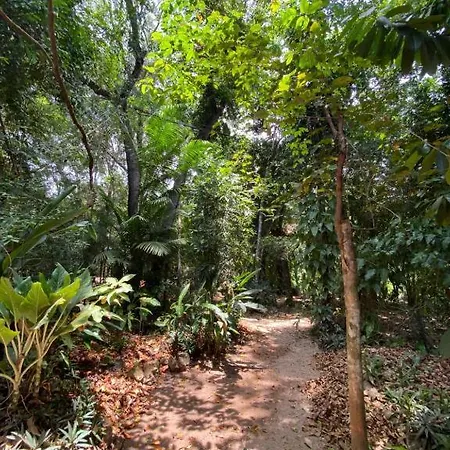 Espaco Comunindios Alter do Chao Exterior photo