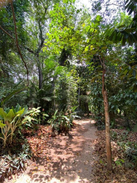 Campsite Espaco Comunindios *
